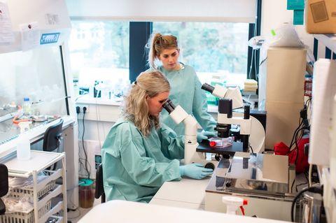 Erasmus MC ATMP ruimte voor celtherapie